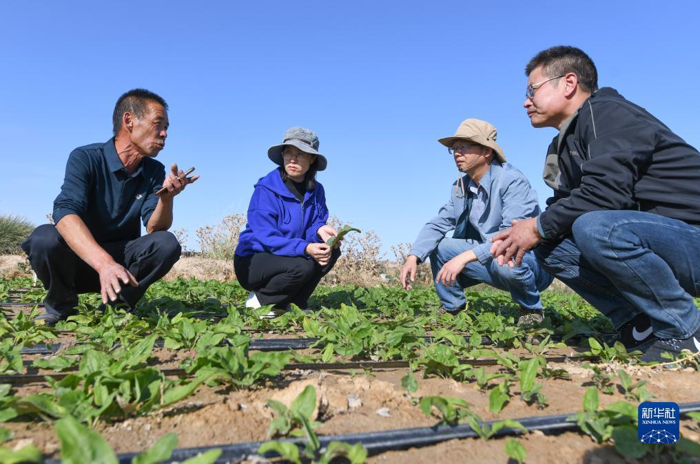 澳门新普金官网